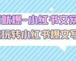 一写就爆-小红书文案课：带你玩转小红收爆文写作（45节课）-开心分享网