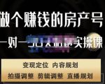 刘广标·同城房产号线上陪跑课,拍摄、剪辑、写文案、直播,做一个具有潜力价值的房产号-开心分享网