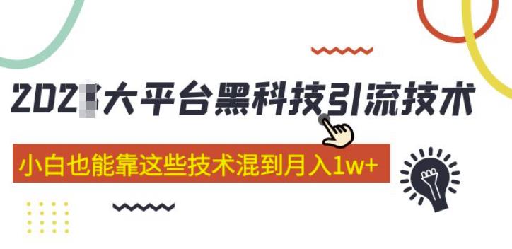 大平台黑科技引流技术，小白也能靠这些技术混到月入1w+(2022年的课程）-开心分享网