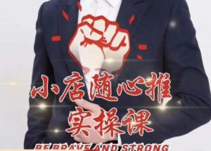 随心推线上课,小店随心推的投放逻辑,投放技巧,快速打标签-开心分享网