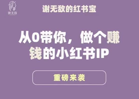 谢无敌·小红书运营大宝典，从0带你做个赚钱的小红书IP-开心分享网