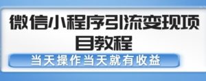 微信小程序引流变现项目教程,当天操作当天就有收益,变现不再是难事-开心分享网