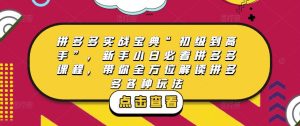 拼多多实战宝典“初级到高手”，新手小白必看拼多多课程，带你全方位解读拼多多各种玩法-开心分享网