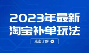 2023年最新淘宝补单玩法,18节课让教你快速起新品,安全不降权-开心分享网
