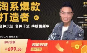 锋投老叶全店动销，淘系干货汇总，各种玩法，淘系爆款打造者-开心分享网