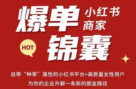 无畏·小红书商家爆单锦囊,掌握小红书各大规则,快速精准抢占行业和市场-开心分享网