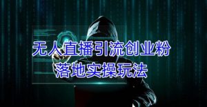 外面收费3980的无人直播引流创业粉落地实操玩法,单日引100+精准创业粉-开心分享网