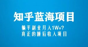 知乎蓝海玩法,躺平副业月入1W+,真正的睡后收入项目(6节视频课)-开心分享网