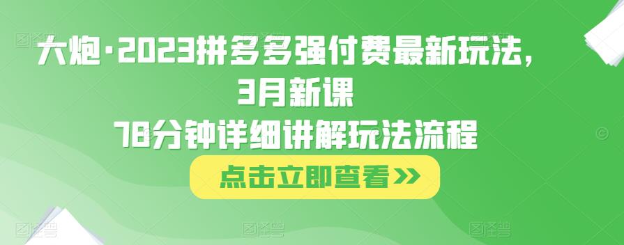 大炮·2023拼多多强付费最新玩法，3月新课​78分钟详细讲解玩法流程-开心分享网