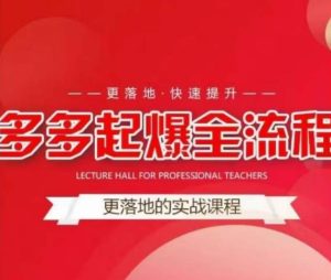 互力-多多新品打爆全流程,拼多多14天拉搜索自然流量,更落地·快速提升-开心分享网