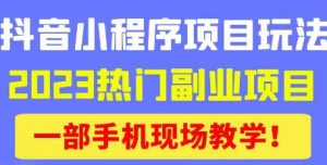 抖音小程序9.0新技巧,2023热门副业项目,动动手指轻松变现-开心分享网