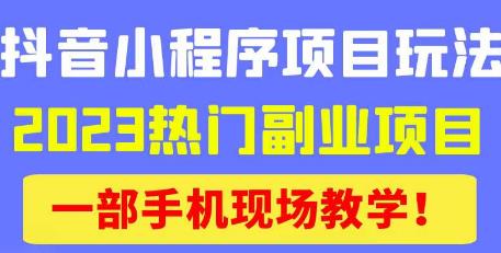 抖音小程序9.0新技巧,2023热门副业项目,动动手指轻松变现-开心分享网