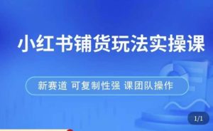 小红书铺货玩法实操课,流量大,竞争小,非常好做,新赛道,可复制性强,可团队操作-开心分享网