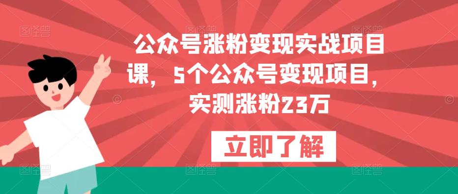 公众号涨粉变现实战项目课，5个公众号变现项目，实测涨粉23万-开心分享网