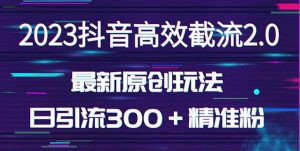 日引300+创业粉,独家抖音高效截流2.0玩法(价值1280)-开心分享网