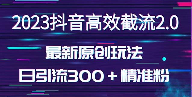 日引300+创业粉,独家抖音高效截流2.0玩法(价值1280)-开心分享网
