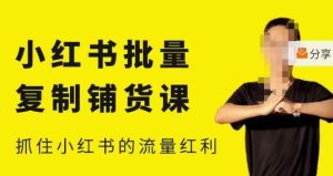 张宾·小红书批量复制铺货课,小红书0-1快速起号变现玩法,抓住小红书的流量红利(更新2023年3月)-开心分享网
