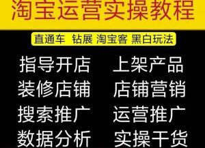 2023淘宝开店教程0基础到高级全套视频网店电商运营培训教学课程-开心分享网