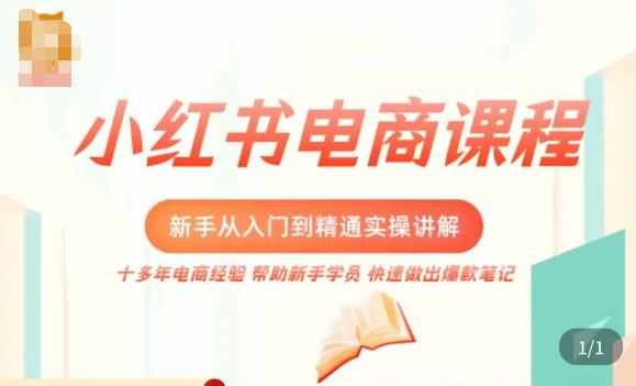 小红书电商新手入门到精通实操课，从入门到精通做爆款笔记，开店运营-开心分享网