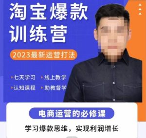 爱上黄昏·淘宝爆款训练营，2023最新运营打法，学习爆款思维，实现利润增长-开心分享网