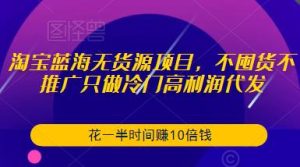 淘宝蓝海无货源项目,不囤货不推广只做冷门高利润代发,花一半时间赚10倍钱-开心分享网