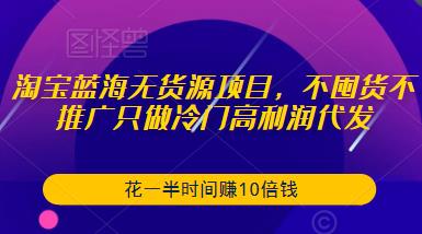 淘宝蓝海无货源项目,不囤货不推广只做冷门高利润代发,花一半时间赚10倍钱-开心分享网