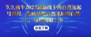 久久疯牛2023最新线上纯自然流起号课程,老杨是把自然流玩明白的人,可以闭眼上车-开心分享网