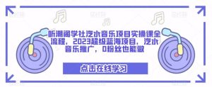 听潮阁学社汽水音乐项目实操课全流程,2023超级蓝海项目,汽水音乐推广,0粉丝也能做-开心分享网