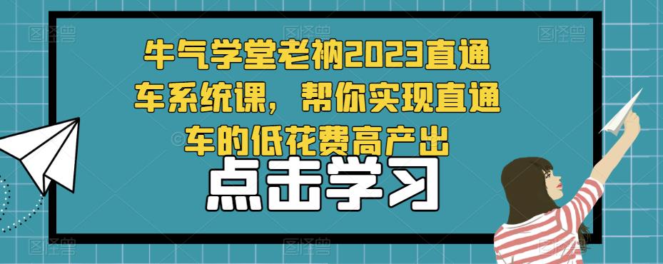 牛气学堂老衲2023直通车系统课,帮你实现直通车的低花费高产出-开心分享网