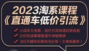 2023直通车低价引流玩法课程，小成本大流量，低价引流快速拉新收割，让你快速掌握直通车突破瓶颈-开心分享网