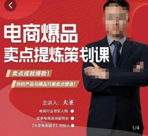 大圣·电商标品爆款卖点策划课,标品卖点成就爆款,可落地卖点提炼课-开心分享网
