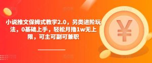 小说推文保姆式教学2.0，另类进阶玩法，0基础上手，轻松月撸1w无上限，可主可副可兼职-开心分享网