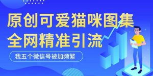 黑科技纯原创可爱猫咪图片,全网精准引流,实操5个VX号被加频繁-开心分享网