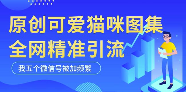 黑科技纯原创可爱猫咪图片,全网精准引流,实操5个VX号被加频繁-开心分享网