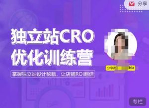 独立站CRO优化训练营,掌握独立站设计秘籍,打造高转化的独立站,让店铺ROI翻倍-开心分享网