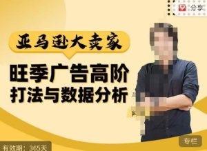 阿甘·亚马逊大卖家广告高阶打法与数据分析,走出传统广告误区;揭秘大卖惯用打法;数据驱动广告决策-开心分享网