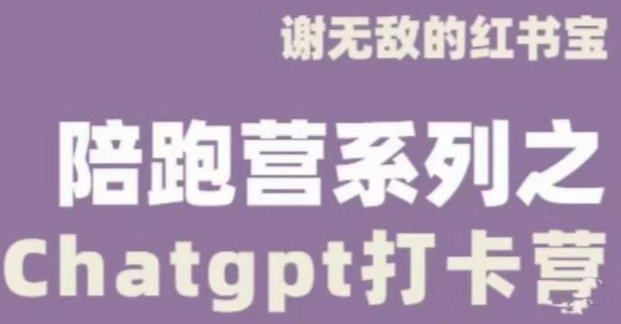 谢无敌ChatGPT打卡营,教你更好地使用ChatGPT来提高工作效率-开心分享网