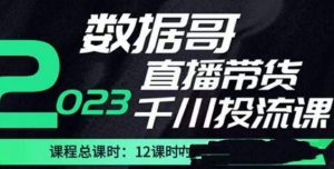 数据哥2023直播电商巨量千川付费投流实操课,快速掌握直播带货运营投放策略-开心分享网
