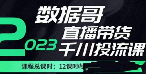 数据哥2023直播电商巨量千川付费投流实操课,快速掌握直播带货运营投放策略-开心分享网
