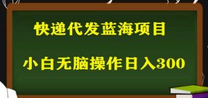 2023最新蓝海快递代发项目,小白零成本照抄也能日入300+-开心分享网