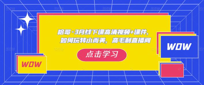 哈哥·3月线下实操课高清视频+课件,如何玩转小而美,高毛利直播间-开心分享网
