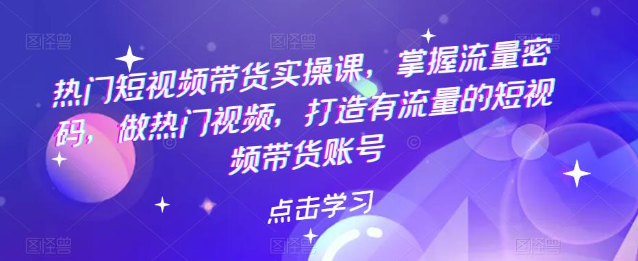 热门短视频带货实操课，掌握流量密码，做热门视频，打造有流量的短视频带货账号