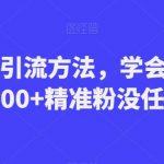B站高效引流方法，学会这一招，日引流200+精准粉没任何问题【揭秘】