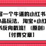写一个牛逼的小红书单品玩法，淘宝+小红书反向截流！(原创)【付费文章】