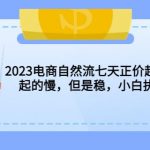 2023电商自然流七天正价起号实战课：起的慢，但是稳，小白执行即可