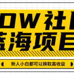 有道词典WOW社区蓝海项目，目前高速上升期，新人小白都可以换取高收益