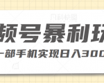 视频号私域带货暴利玩法，简单粗暴，一部手机实现日入300+