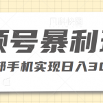视频号私域带货暴利玩法，简单粗暴，一部手机实现日入300+