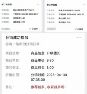 快递代发CPS,月入万元,不起眼却很赚钱的信息差项目【揭秘】-开心分享网