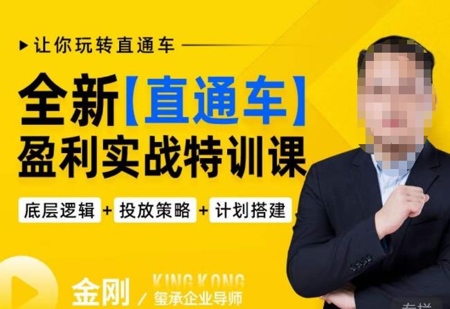 玺承·全新直通车盈利实战特训课,从底层逻辑详细拆解,从底层,策略到搭建,让你玩转直通车-开心分享网